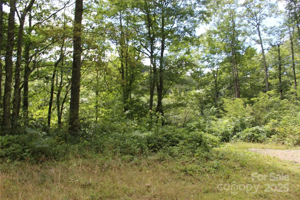 920 Autumn Drive Maggie Valley, NC 28751