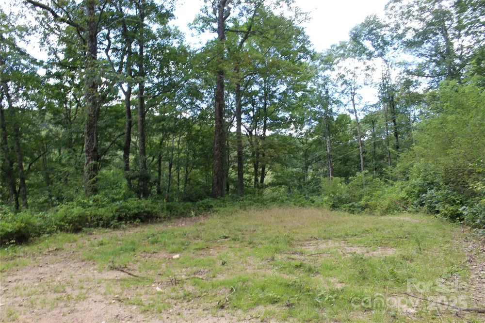 920 Autumn Drive Maggie Valley, NC 28751