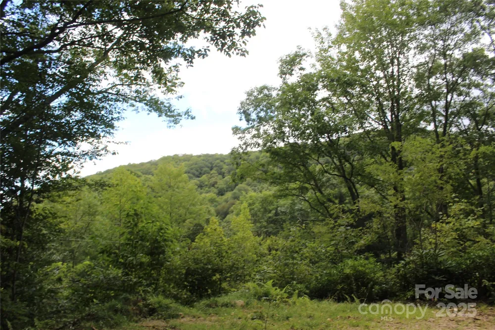 920 Autumn Drive Maggie Valley, NC 28751