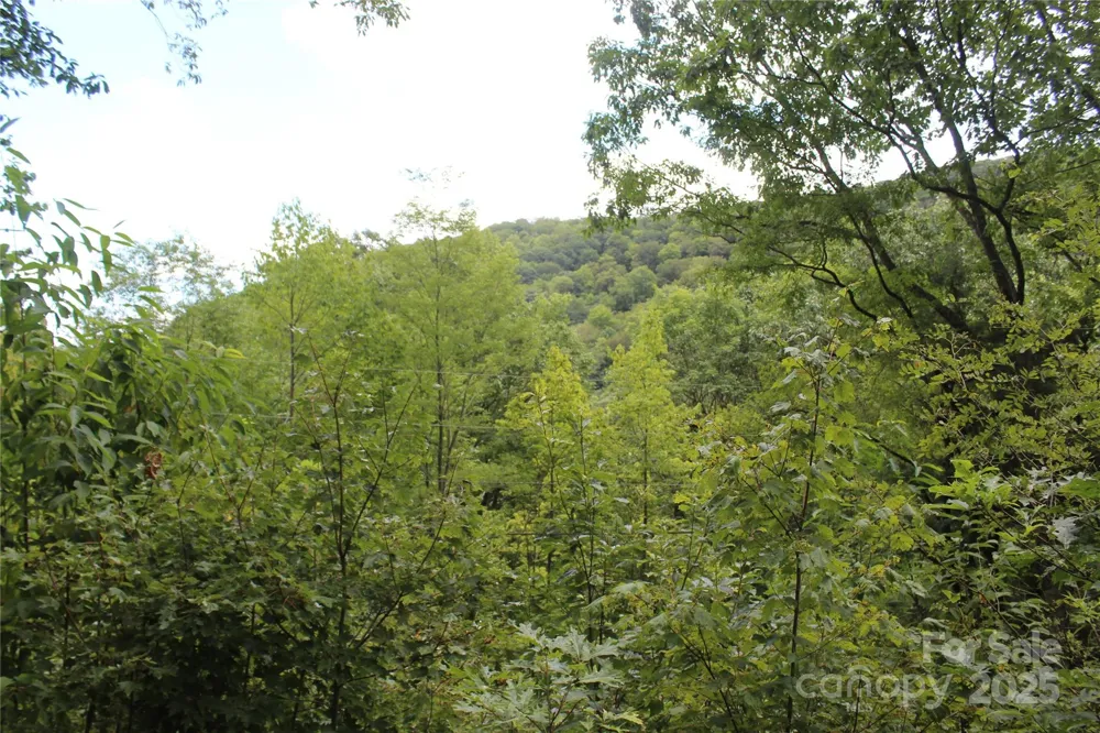 920 Autumn Drive Maggie Valley, NC 28751