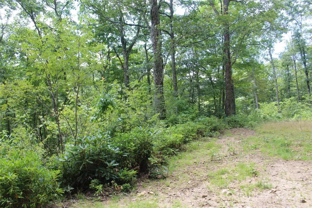920 Autumn Drive Maggie Valley, NC 28751