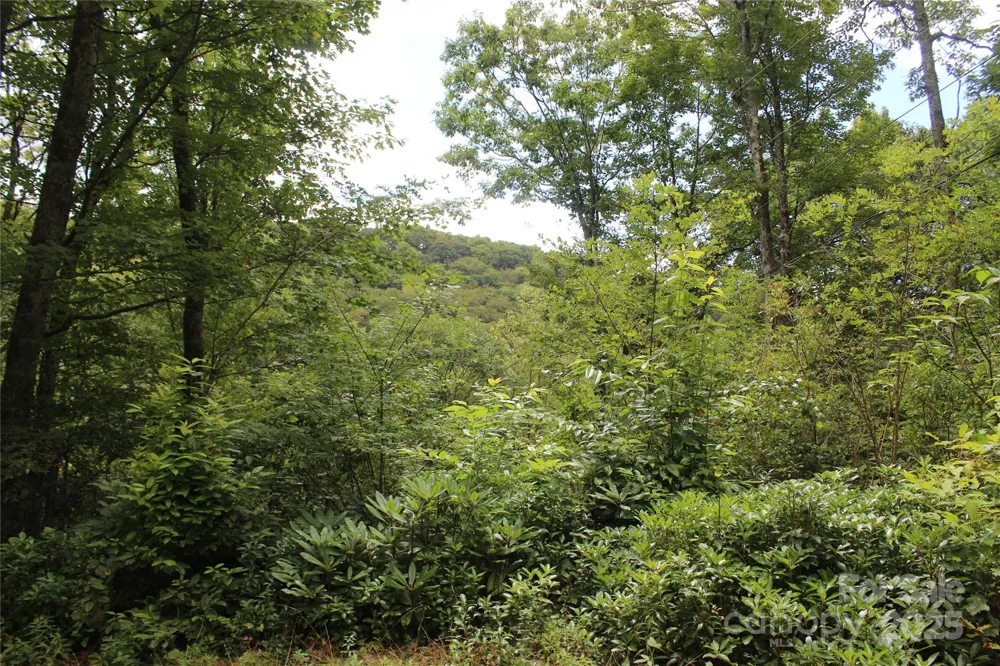 920 Autumn Drive Maggie Valley, NC 28751