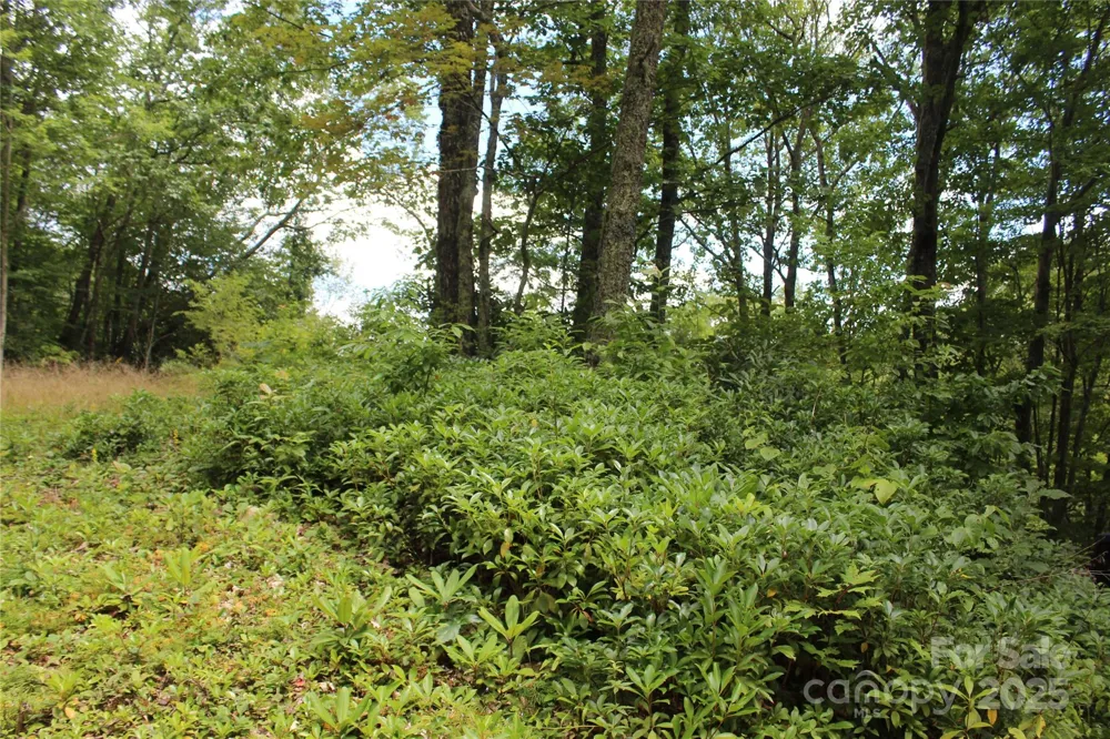 920 Autumn Drive Maggie Valley, NC 28751