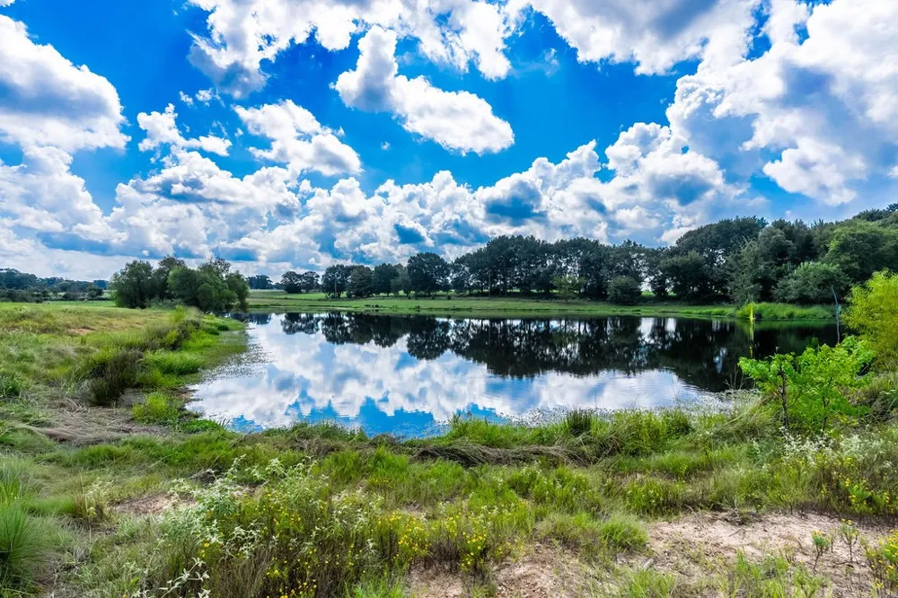 4149 An County Road 2202 Palestine, TX 75803