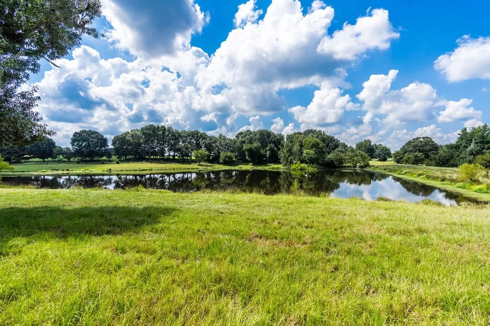 4149 An County Road 2202 Palestine, TX 75803