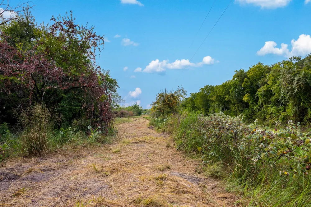 LCR 392 Groesbeck, TX 76642