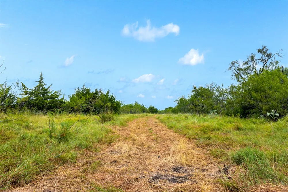 LCR 392 Groesbeck, TX 76642