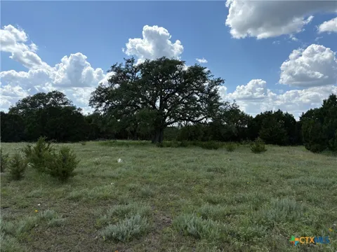 Deer Run Court
