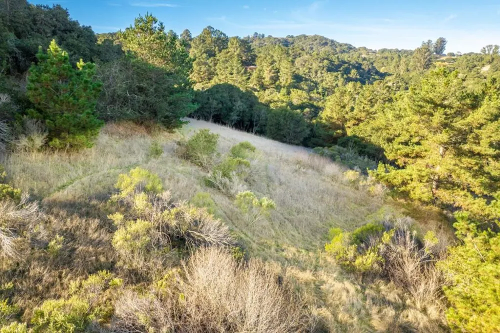 19378 Oak Ridge Drive Aromas, CA 95004