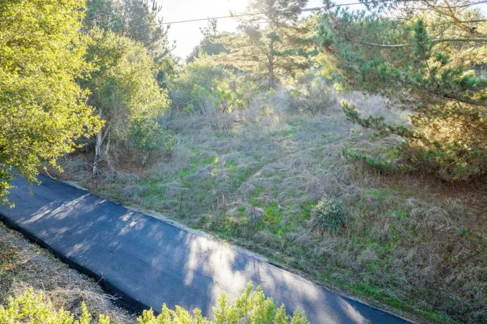 19378 Oak Ridge Drive Aromas, CA 95004