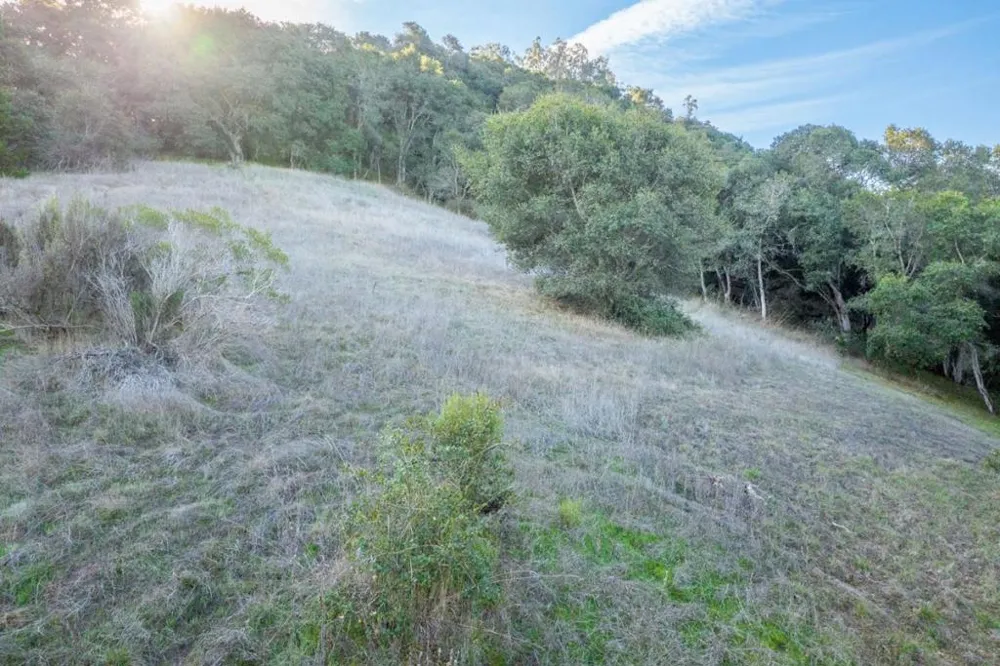 19378 Oak Ridge Drive Aromas, CA 95004