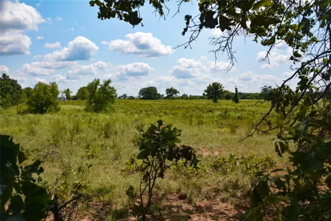 VZ County Road 1821