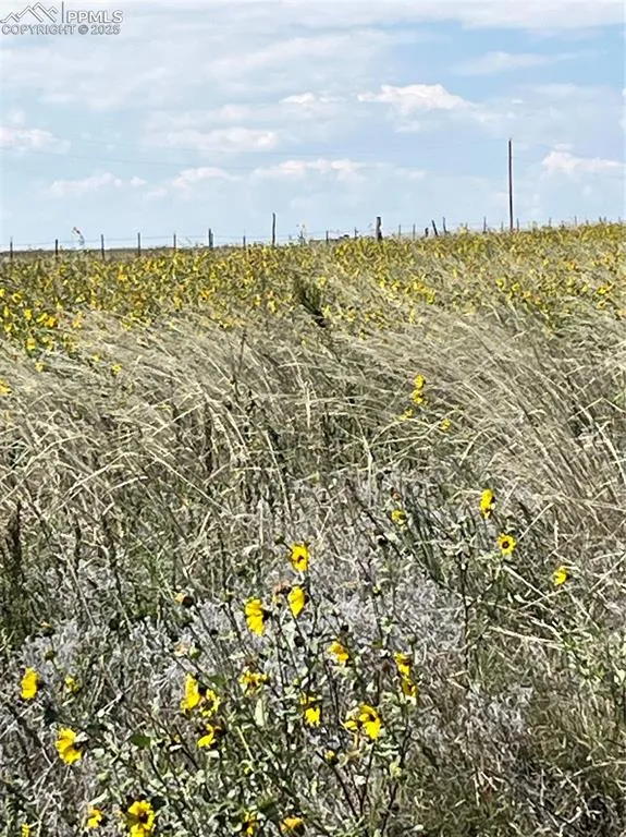 1999 Sengbeil Road Yoder, CO 80864