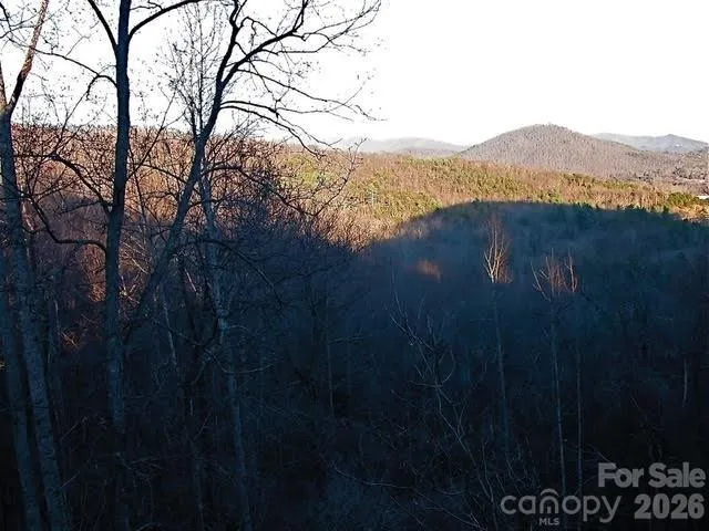 52 Hope View Road Swannanoa, NC 28778