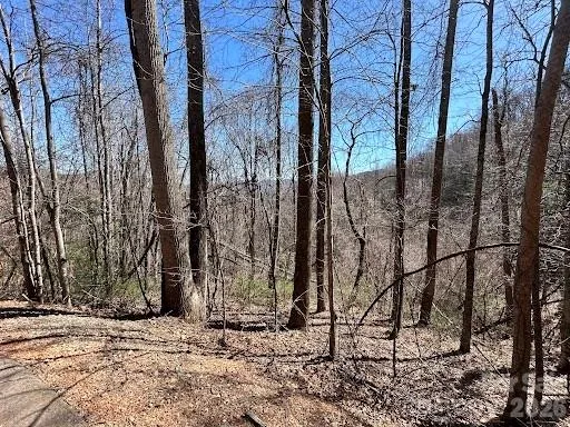 52 Hope View Road Swannanoa, NC 28778