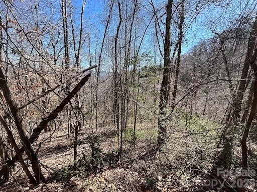 52 Hope View Road Swannanoa, NC 28778