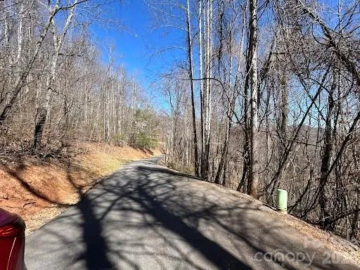 52 Hope View Road Swannanoa, NC 28778