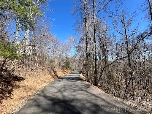 52 Hope View Road Swannanoa, NC 28778