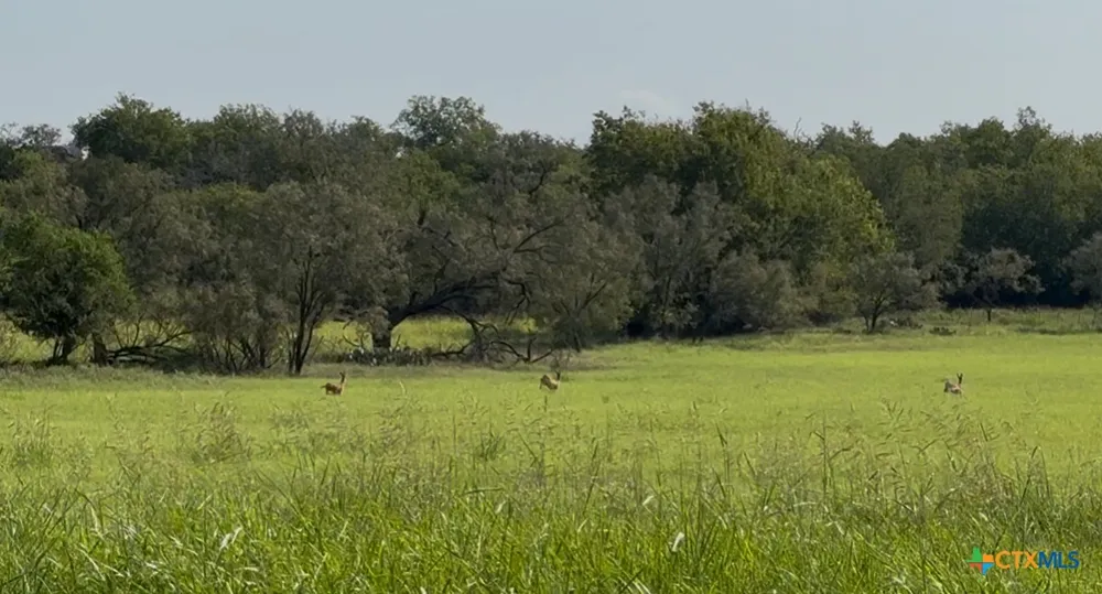 3927 County Road 3210 Kempner, TX 76539