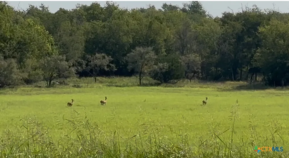 3927 County Road 3210 Kempner, TX 76539