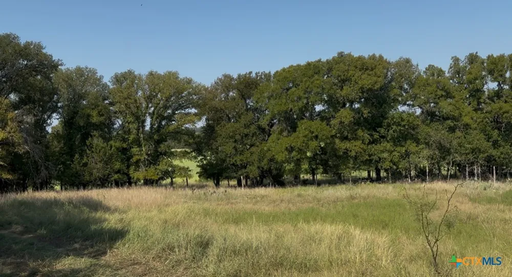 3927 County Road 3210 Kempner, TX 76539