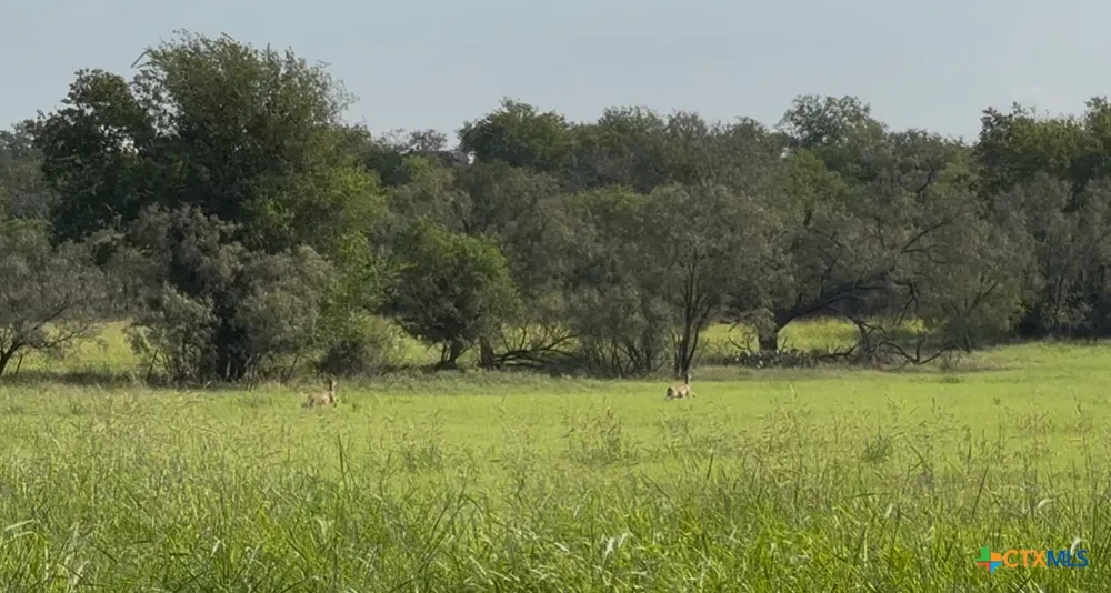 3927 County Road 3210 Kempner, TX 76539