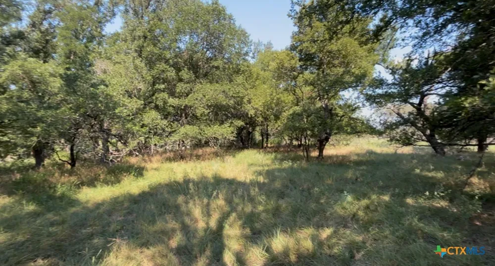 3927 County Road 3210 Kempner, TX 76539