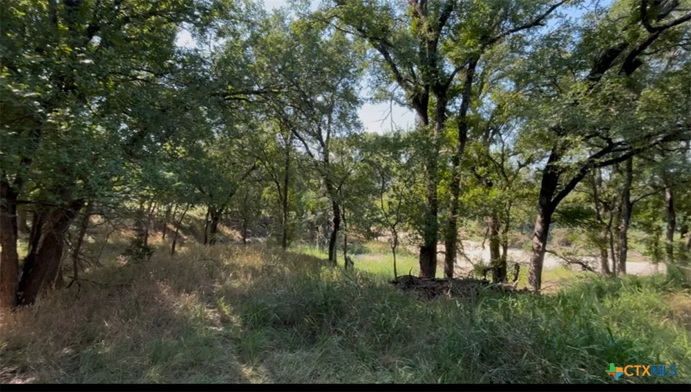 3927 County Road 3210 Kempner, TX 76539
