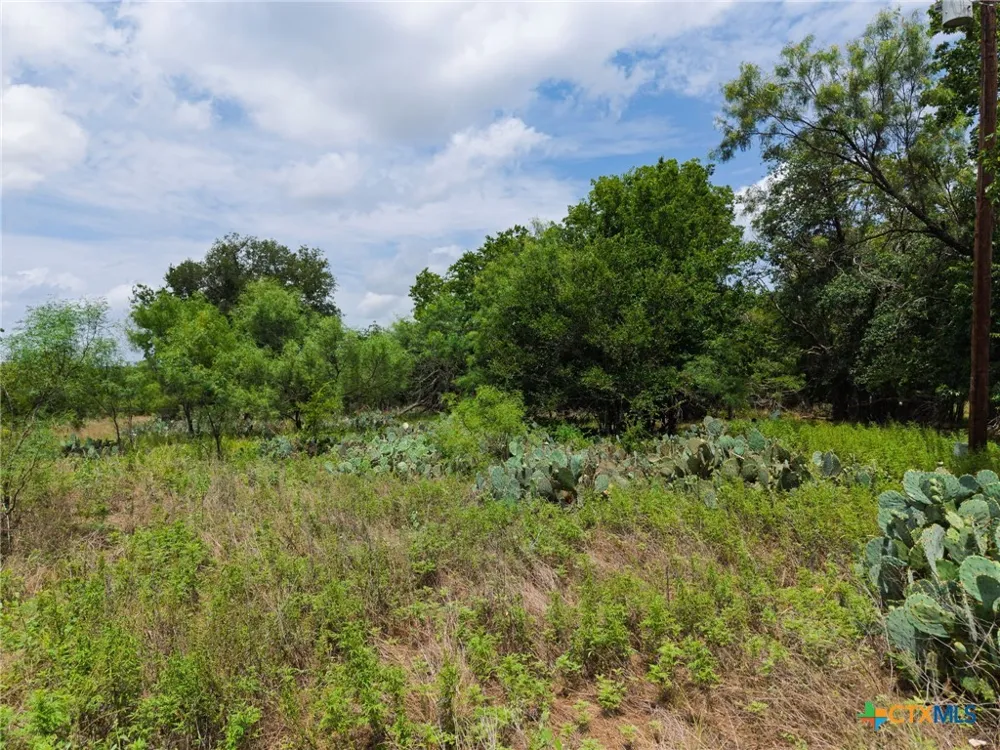 3927 County Road 3210 Kempner, TX 76539