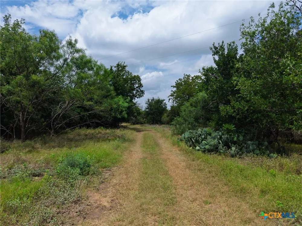 3927 County Road 3210 Kempner, TX 76539