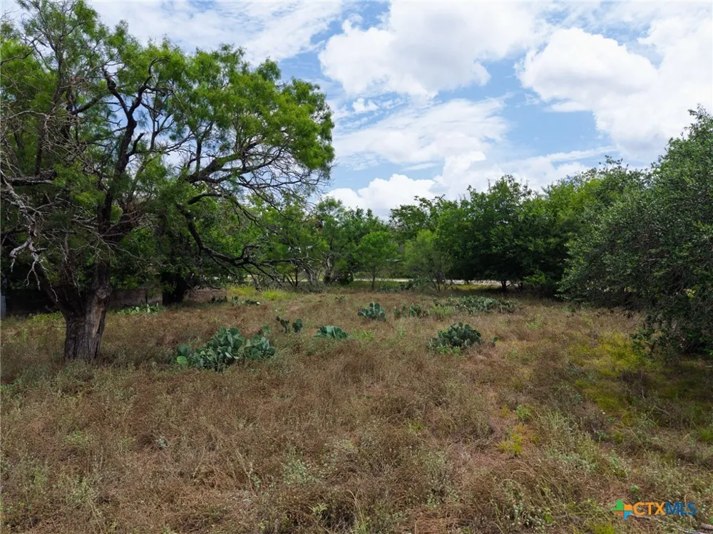 3927 County Road 3210 Kempner, TX 76539