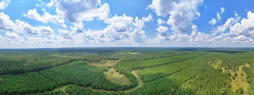 20563 Ghost Road Kountze, TX 77585