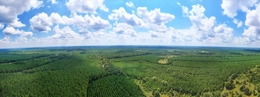 20563 Ghost Road Kountze, TX 77585