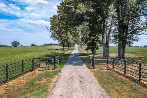 9208 FM 17 89 Acres