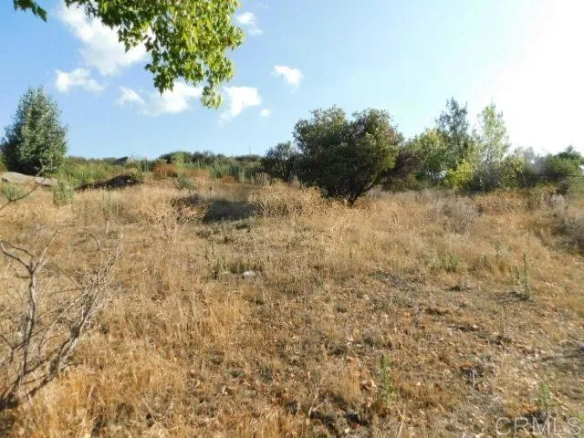 29949 Canadian Honker Road Campo, CA 91906