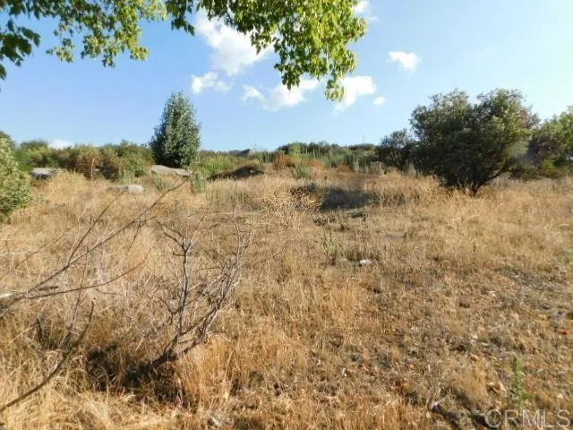 29949 Canadian Honker Road Campo, CA 91906
