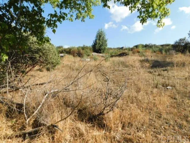 29949 Canadian Honker Road Campo, CA 91906
