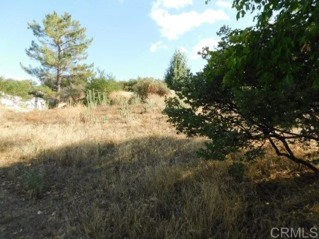 29949 Canadian Honker Road Campo, CA 91906