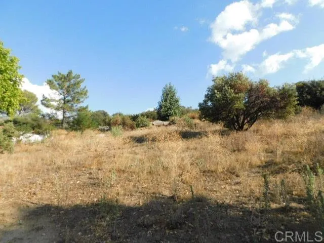 29949 Canadian Honker Road Campo, CA 91906