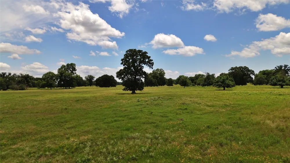 695 County Road 1210 Lake Creek, TX 75450