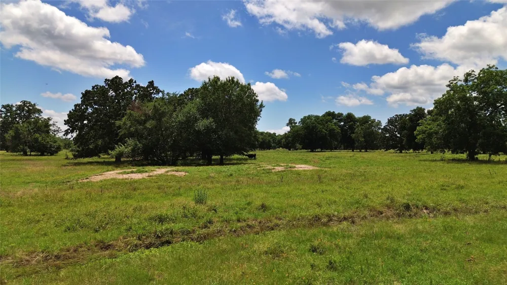 695 County Road 1210 Lake Creek, TX 75450