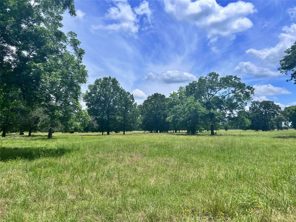 695 County Road 1210 Lake Creek, TX 75450
