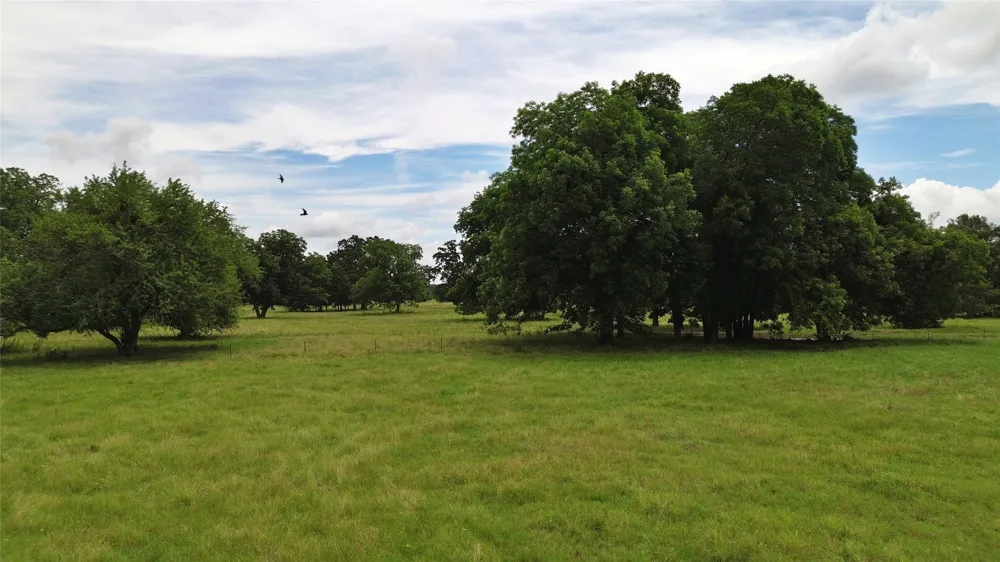 695 County Road 1210 Lake Creek, TX 75450