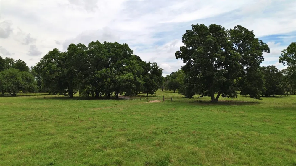 695 County Road 1210 Lake Creek, TX 75450