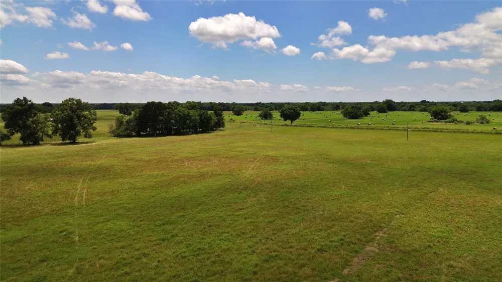 695 County Road 1210 Lake Creek, TX 75450