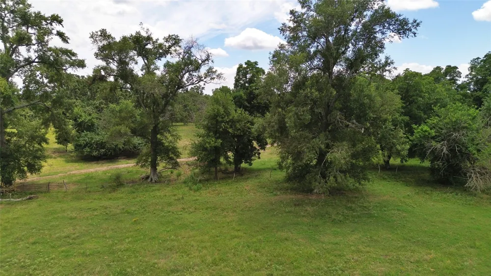 695 County Road 1210 Lake Creek, TX 75450