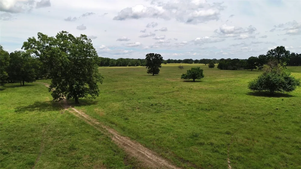 695 County Road 1210 Lake Creek, TX 75450