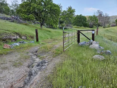 1000 Trimmer Spring Road
