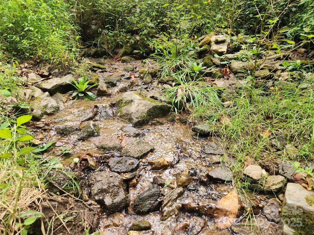 1925 S Fork Road Marshall, NC 28753