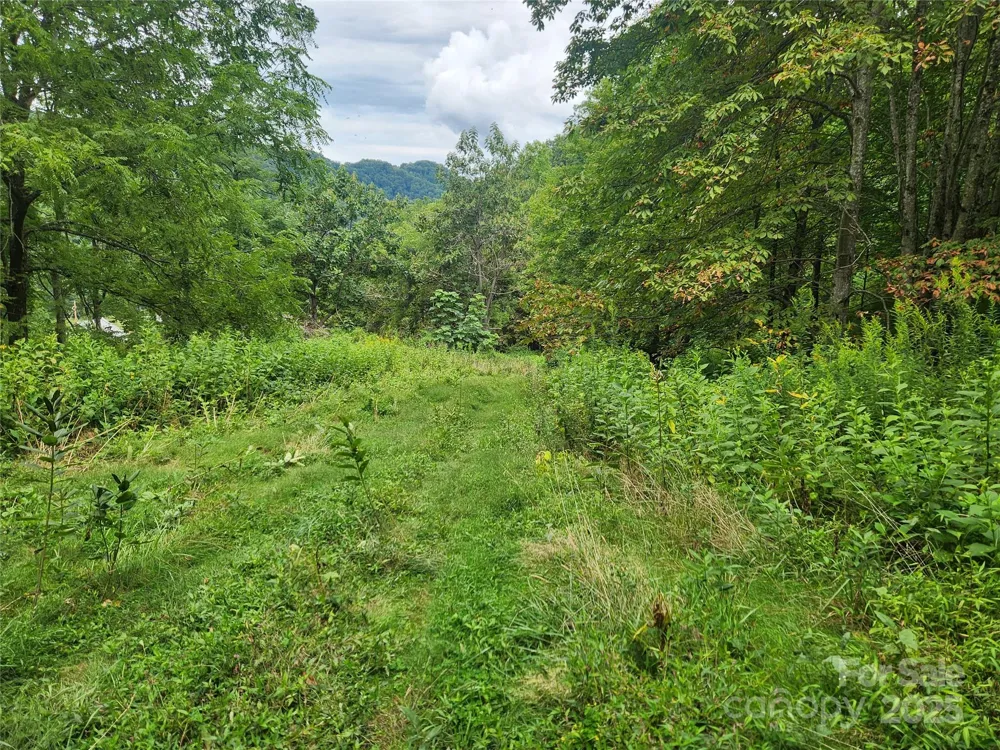 1925 S Fork Road Marshall, NC 28753